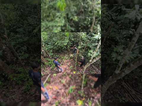Camping in the rain & fishing #camping #bushcraft #outdoor #ASMR #rainsound