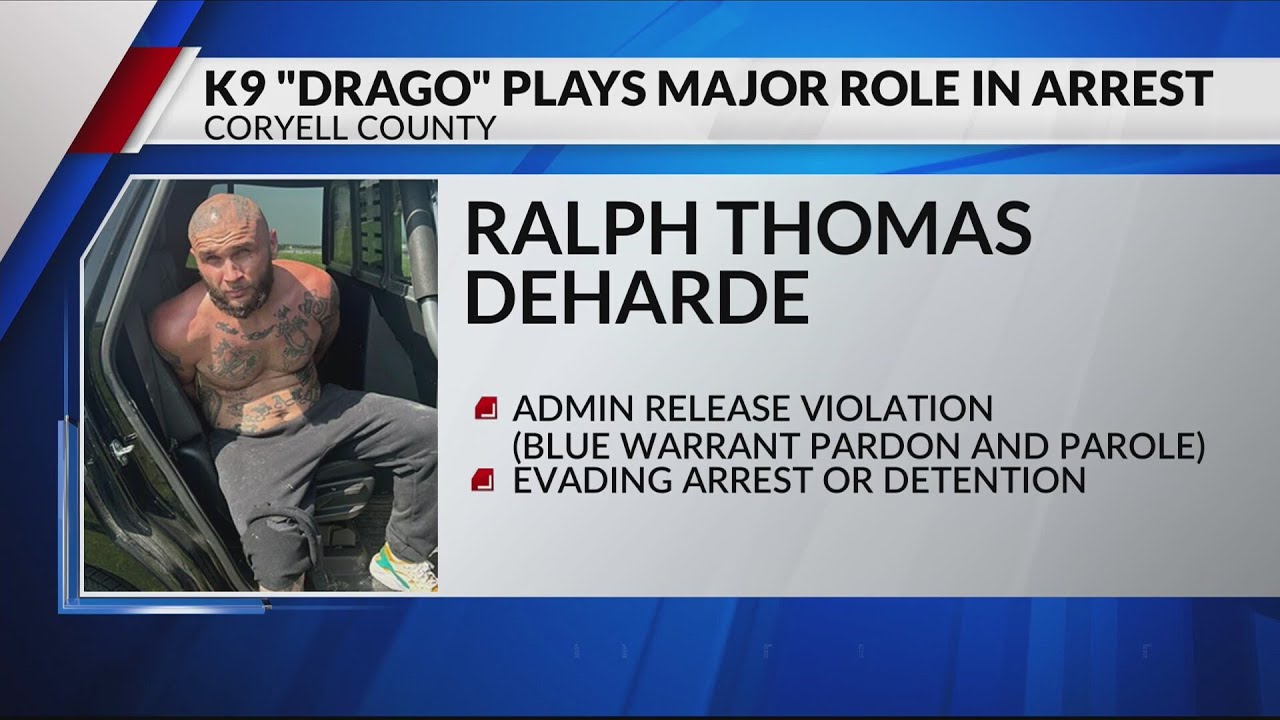 K9 deputy plays key role in apprehension of assault suspect - YouTube