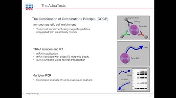 Siegfried Hauch - Detection and analysis of circulating tumor cells – challenges and solutions
