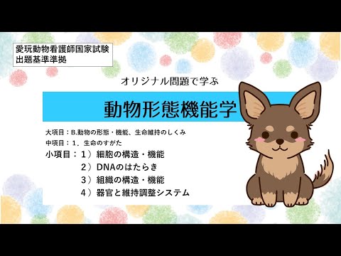 動物看護学生が必要そうな物！ ビジュアルで学ぶ動物看護学 第2版 ―臨床につなげる基礎知識