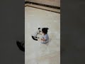 مضاربة كيان وسيم وسميه البسه 