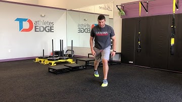 Matthew Ibrahim | Alternating Split Squat Jump w/ Stick