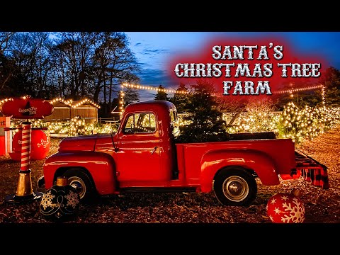 Vídeo: Long Island Christmas Tree Farms