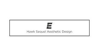 Hawk Sequel Tech: Aesthetic Design Elements