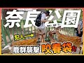 我被鹿群襲擊咬春袋😲？！要食返多D好野定驚🔥！初到日本奈良公園！