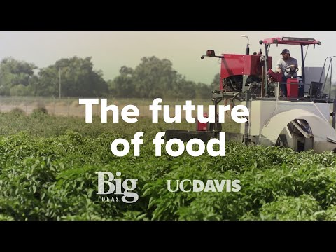 Video: Kiek laipsnių siūlo UC Davis?