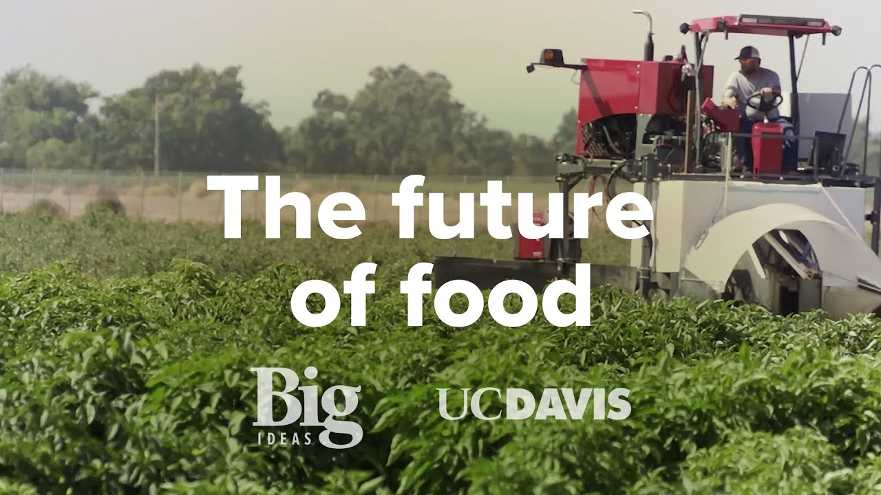 Sustainable Agriculture | UC Davis Big Ideas: Smart Farm - YouTube