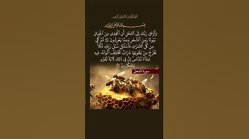 سورة النحل │ الآيات 68-69 │ آيات العسل والشفاء من كل داء