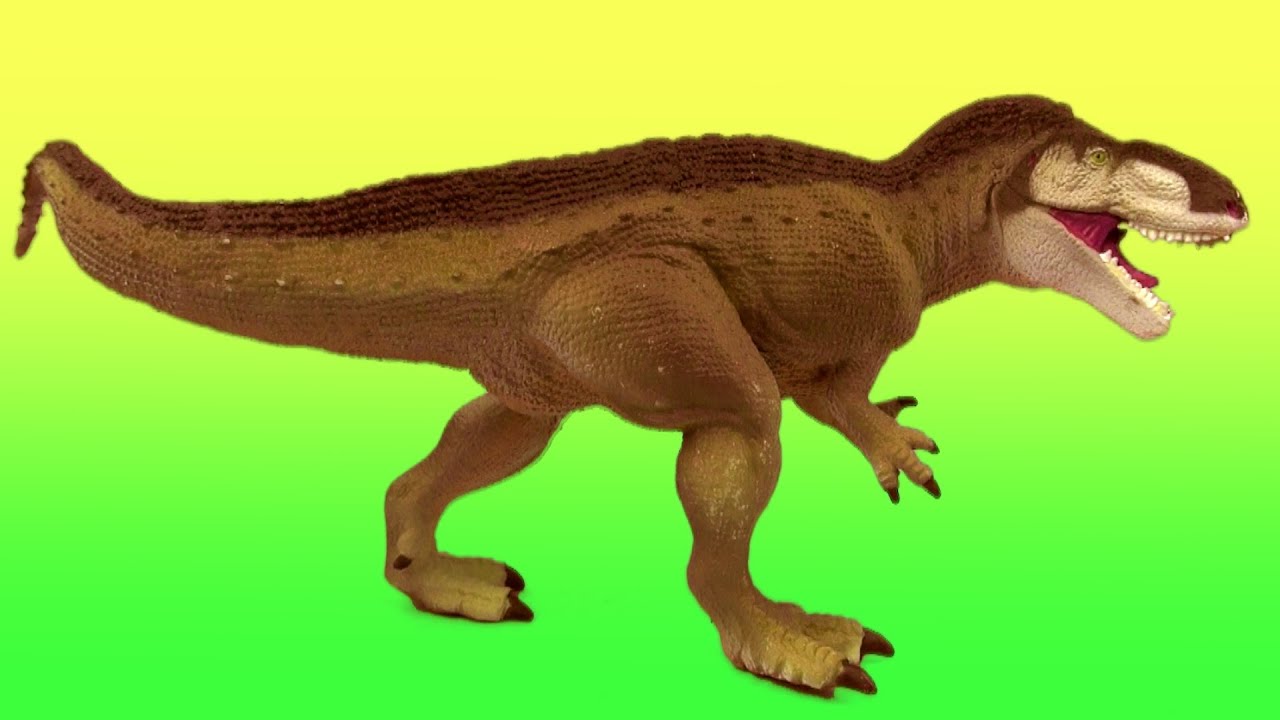 t rex ark Dinosaur Fight - T rex vs Acrocanthosaurus -