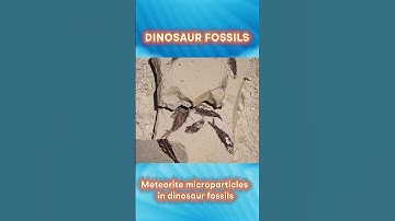 Dinosaur Fossils Reveal Meteorite Microparticles