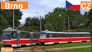 CZ - BRNO TRAMS / Tramvaje v Brně 2020 [4K]