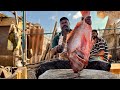 💥🤩KASIMEDU SELVAM FISH CUTTING VIDEO⁉️💢KASIMEDU SPEED SELVAM FISH CUTTING | UK SONS MARINE