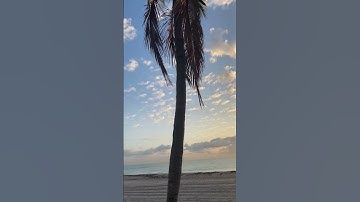 Thumbnail of Morgan Wallen Chasin You with original content of Hollywood Beach FL