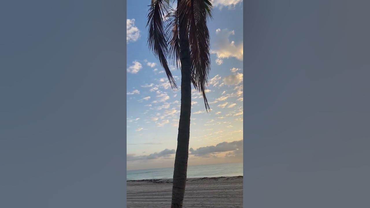 Morgan Wallen Chasin You with original content of Hollywood Beach FL