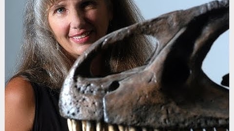 Science Cafe: Dinosaurs: Rewriting the Rules of Fossilization