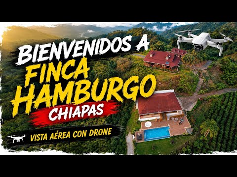 Bienvenidos A Finca Hamburgo ✨🌿