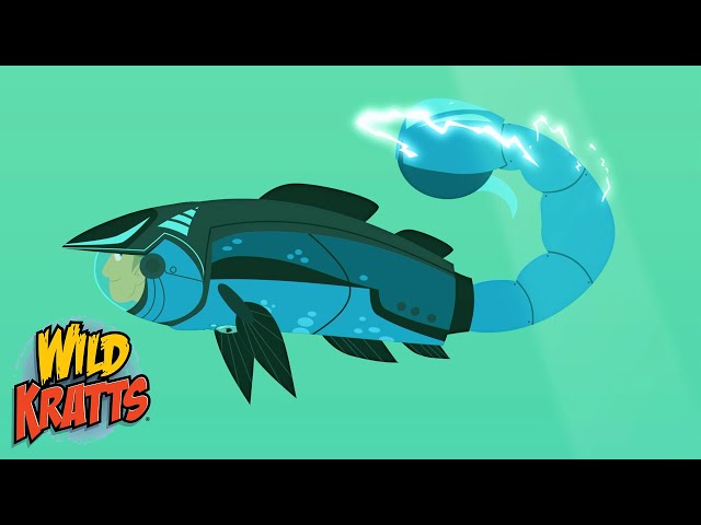 A Salmon with a Scorpion Tail? | Transformation Malfunctions