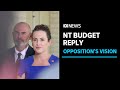 NT opposition releases budget reply with new promises | ABC News