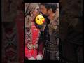 Usman And Bala New Look And Kissing Seen Shorts Shortsfeed Viral 