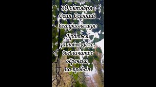 30 октября Осия Осенний, приметы #30октябряприметы #30октябряпраздники #30октябряосияосенний