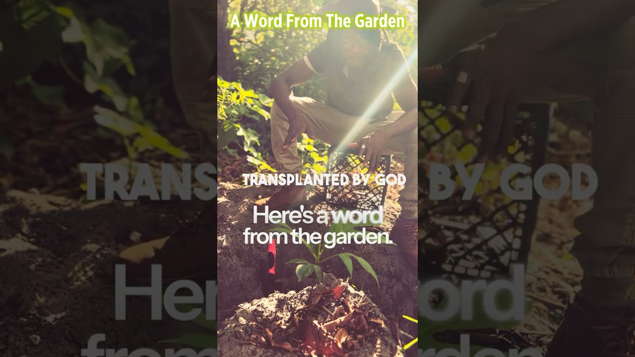 Transplanted During the Full Moon: What God is Birthing in You | A Word from the Garden