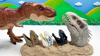 Indominus Rex Head In Sand | Dinosaurs Battle With TRex