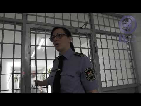 Videó: Hogyan Lehet Elkerülni A Bírságokat