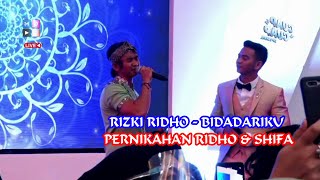 Persembahan Rizki Ridho - Bidadariku di Pernikahan Ridho dan Shifa