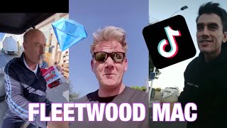 Most liked Fleetwood Mac TikToks [mostliked #1] (TikTok compilation 2020)