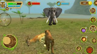 Tiger Family Simulator - Angry Tiger Games | Furious Wild Tiger - Android GamePlay