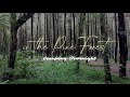 Destinasi Hutan Pinus, Rendang & Api Unggun | Veto Outdoors