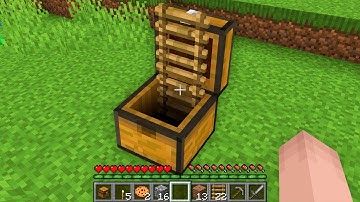 HOW NOOB BUILD HOUSE INSIDE CHEST!? Minecraft NOOB vs PRO! 100% TROLLING UNDER IN ON END CHEST