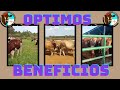 ÓPTIMOS BENEFICIOS