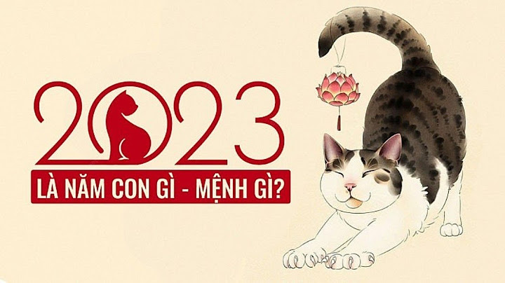 2023 là năm con gì và mệnh gì