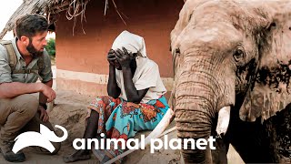 Elefante destrói casa em vilarejo | Criaturas Misteriosas com Forrest Galant | Animal Planet Brasil