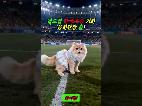 The dance of the cheering squad leader to pray for Korea's victory in the World Cup!  #WorldCup