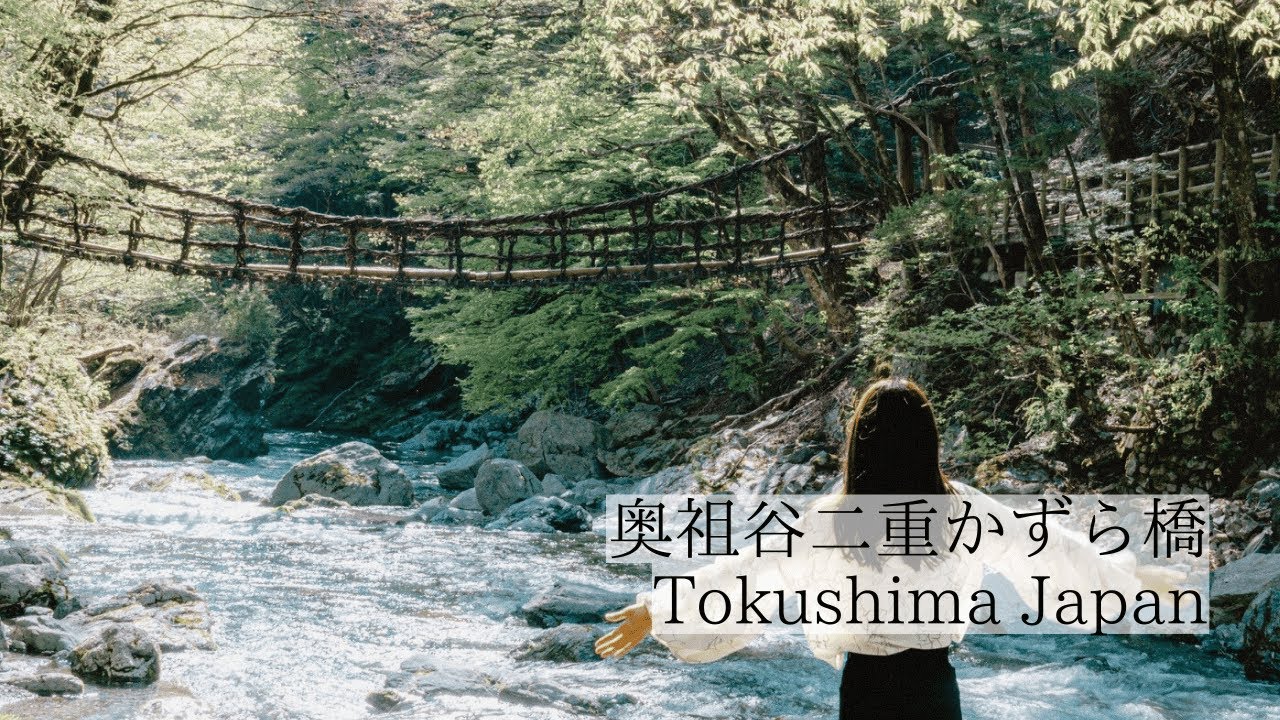 Oku Iya Double Vine Bridges | OBOKE IYA TOURIST NAVIGATION＜Torist