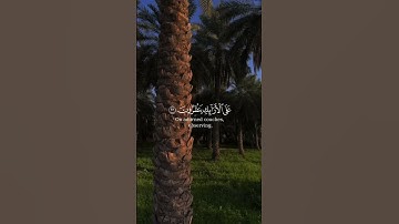 سورة المطففين #آيات #قرآن #الذكر_الحكيم #تلاوة_خاشعة #ارح_قلبك #ارح_سمعك #malek_awad