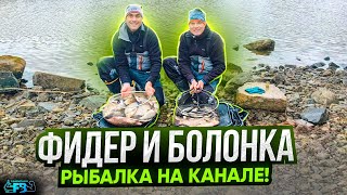 Болонка и фидер на Канале! Открытие сезона, лещи и плотва не дают скучать! by FISHBROTHERS 30,804 views 3 weeks ago 1 hour, 9 minutes