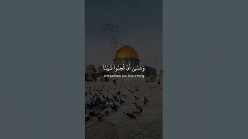 {وَعَسَى أَنْ تَكْرَهُوا شَيْئاً وَ هُوَ خَيْرٌ لَكُم} #quran #tilawat #islam #islamic #تلاوة_خاشعة