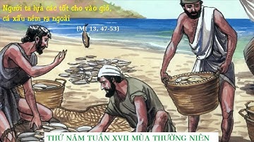 LỜI CHÚA THỨ NĂM TUẦN XVII MÙA THƯỜNG NIÊN (Mt 13, 47-53).