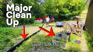 Amazing Transformation Reclaiming What Was Lost To Nature