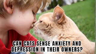 Can Cats REALLY Sense Anxiety and Depression in Their Owners? by Cats Globe 163 views 1 month ago 2 minutes, 57 seconds