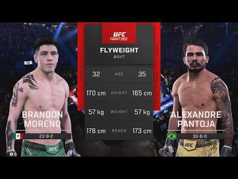 Brandon Moreno vs Alexandre Pantoja fight footage