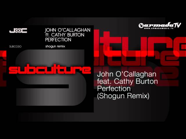 John O'Callaghan - Perfection