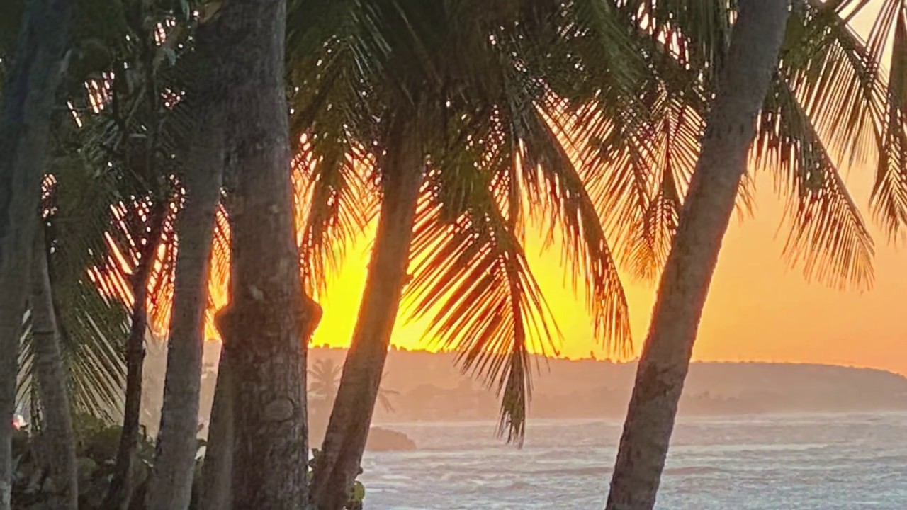 Vlog 39 Vistas del Palmar House For Sale in Aguada Puerto Rico YouTube