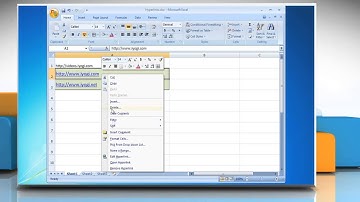Microsoft® Excel 2007: How to remove Hyperlinks