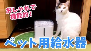 おしゃれで機能的！新しいペット用給水器を購入しました