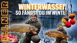SO FÄNGST DU WINTERKARPFEN! 🐳❄️🥶 - FUTTER UND KÖDER! #karpfen #angeln #futter