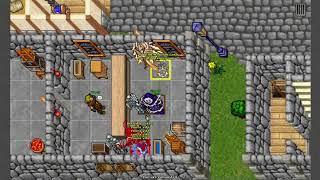 Tibia PK - AC -  450 MS #16